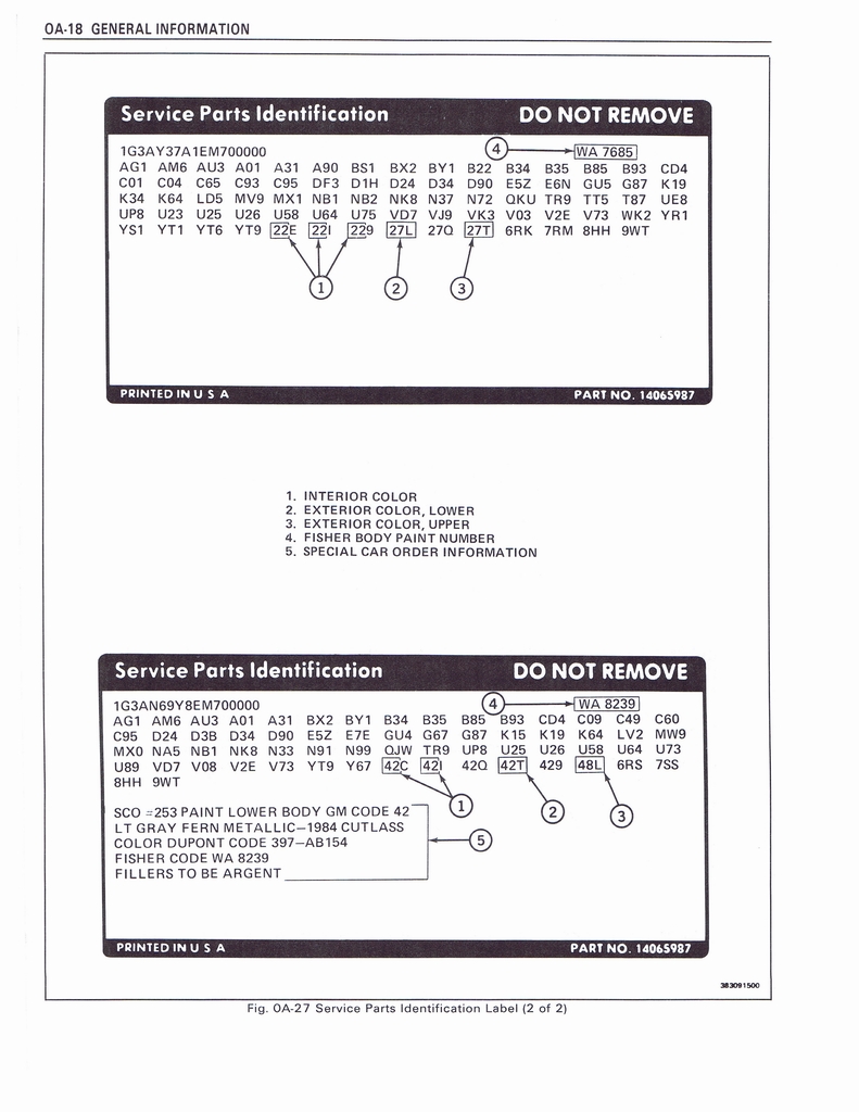 n_General Information 018.jpg